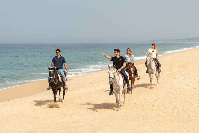 Setubal & Comporta Trip with Horseback Riding from Lisbon - A half-day escape from Lisbon to Setúbal and Comporta