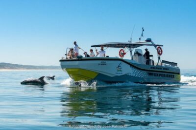 Setúbal: Dolphin-Watching Boat Tour - The route: from Sado River to Arrábida cliffs and small islands