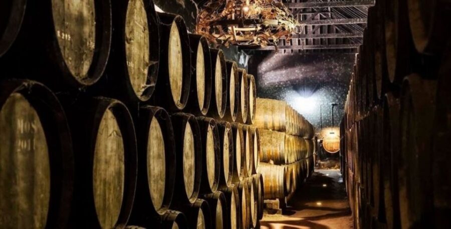 Setúbal Tour, Mountains & Sea, w/ Wine Tasting! FROM LISBON - Azeitão Break: Cheese, Produce, and Local Tempo