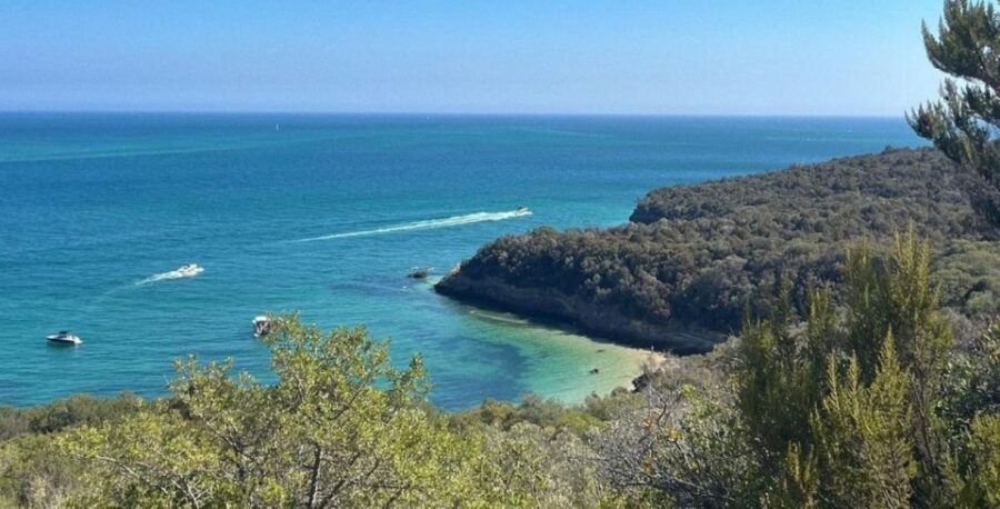 Setúbal Tour, Mountains & Sea, w/ Wine Tasting! FROM LISBON - Who Should Book This Tour (and Who Might Skip It)