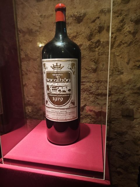 Setúbal Wine Tour: Discover the Moscatel Wine - Price and value: why this tour can be a smart buy for a one-day plan