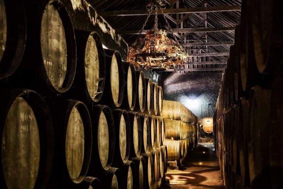 Setúbal Wine Tour: Discover the Moscatel Wine - The Moscatel tasting at Bacalhôa: what you’re really learning