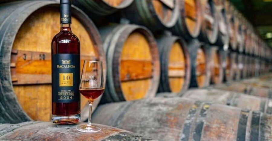 Setúbal Wine Tour: Discover the Moscatel Wine - The Christ the King stop: a short viewpoint to close out the day