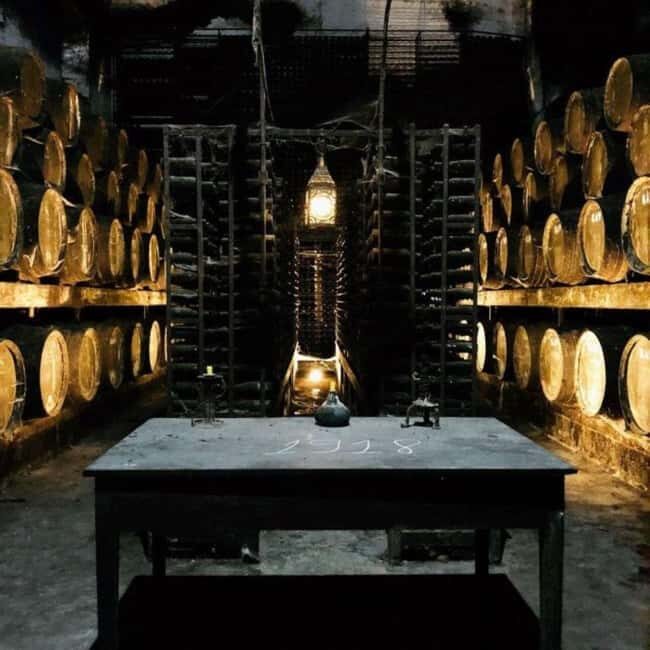 Setúbal Wine Tour: Discover the Moscatel Wine - Timing, comfort, and what to pack for the 8-hour rhythm