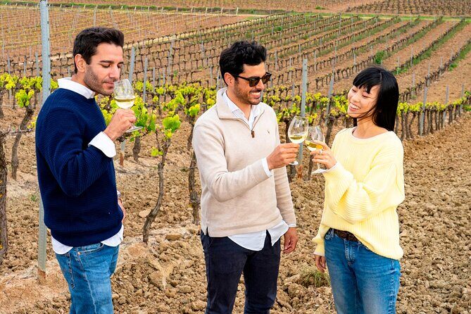 Setúbal: Winery & Fish Market Tasting Tour from Lisbon - Mercado do Livramento: fish-market energy, wine in hand