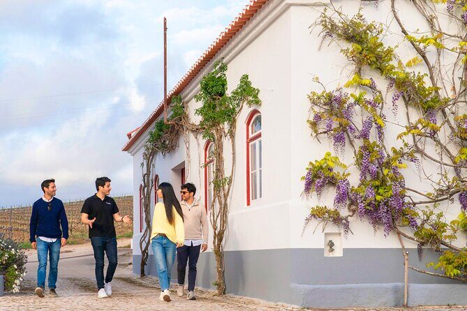 Setúbal: Winery & Fish Market Tasting Tour from Lisbon - Setúbal center and São Filipe Castle: Jesus Convent plus Capela Joanina views