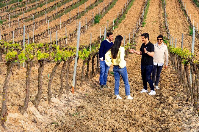 Setúbal: Winery & Fish Market Tasting Tour from Lisbon - Palácio da Bacalhôa: the estate tour and your four wine tastings