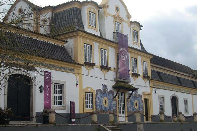 Setubal Winery Private Tour including Lunch at Sesimbra Beach - Private tour feel with a small-group cap