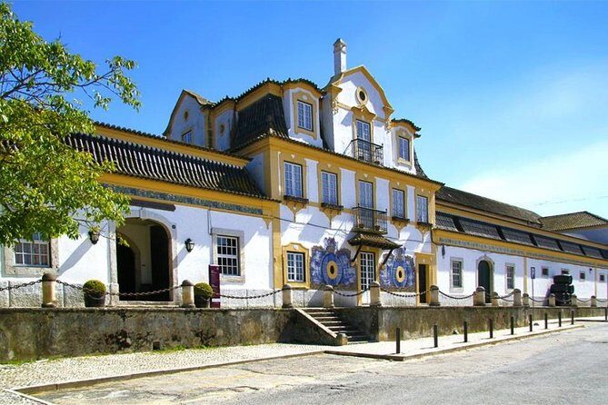 Setubal Winery Private Tour including Lunch at Sesimbra Beach - Practical tips so your day stays pleasant