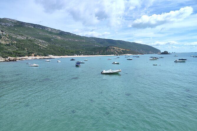 Setúbal,Sesimbra & Palmela - Private tour, Nature & Culture - Palmela to Sesimbra: the coast road trip that actually makes sense