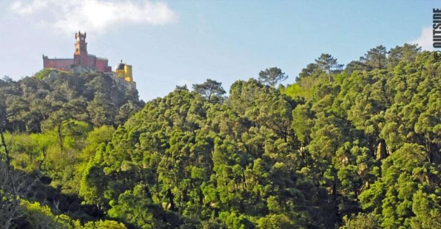 Sintra: 3.5-Hour Rock Climbing Experience - Gear, Safety Chat, and Your First Climbing Steps