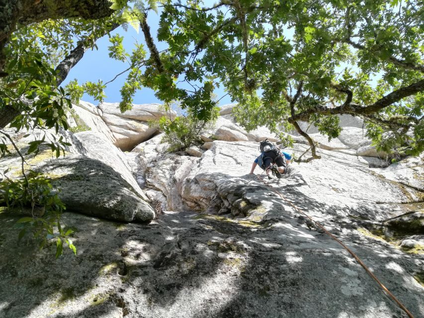 Sintra: 3.5-Hour Rock Climbing Experience - Who Should Book This Sintra Climbing Trip?