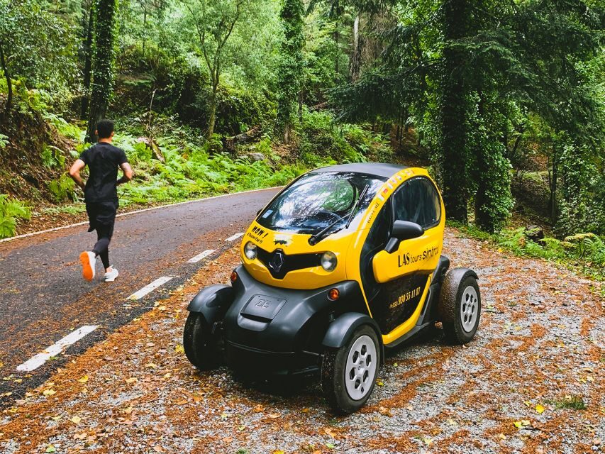 Sintra: 4 MAJOR Monuments Tour E-Car com GPS Audio Guide - Quinta da Regaleira: mystical gardens and the Inverted Well
