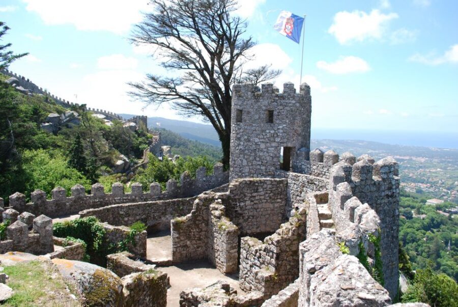 Sintra: 4 MAJOR Monuments Tour E-Car com GPS Audio Guide - Monserrate Palace and gardens: 3,000 exotic species feel