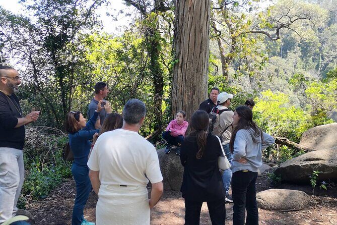 Sintra ALL PALACES - small groups (2-6pax) PRIVATE TOUR - Stop 4: Sintra National Palace for a fast cultural snapshot