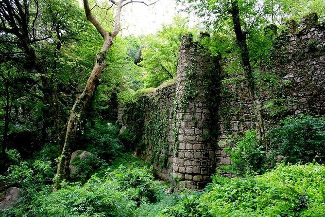 Sintra And Cascais Private Tour : Let us put Sintra in your Heart - Pacing for your body and your attention span
