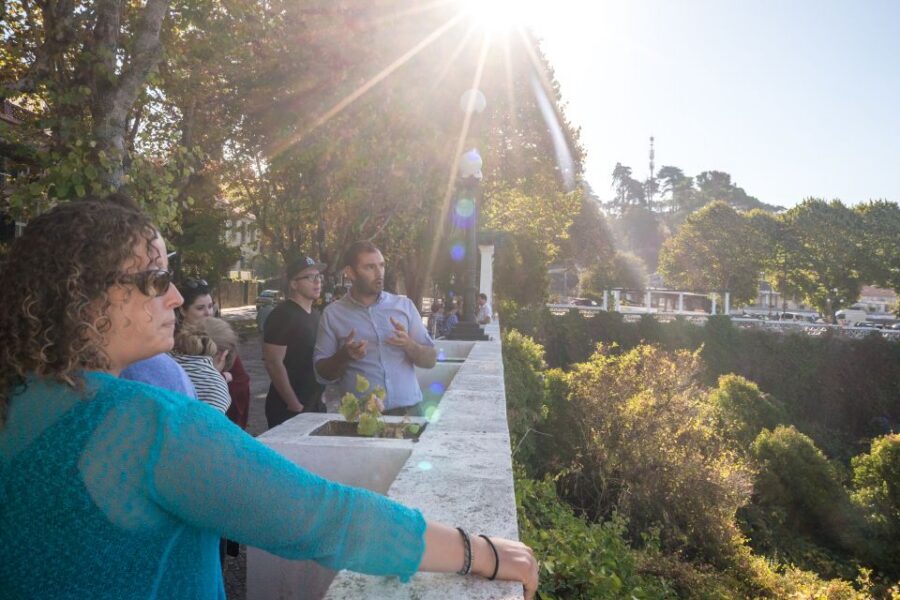 Sintra and Cascais Small Group Tour from Lisbon - Meeting Point and the comfortable van rhythm from Lisbon