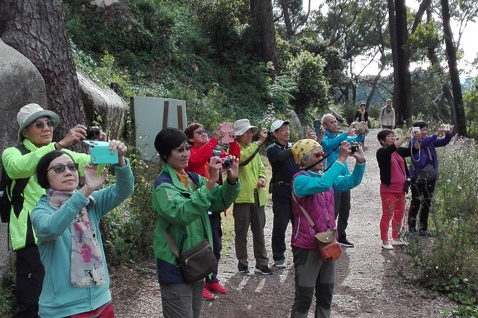 Sintra Full-Day: Pena, Moorish Castle & Regaleira with Tickets - Price and value check for $234.80 per person