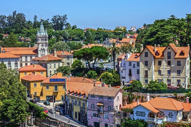 Sintra Full Day Private Wine Experience with Tastings from Lisbon - Comfort, cleanliness, and practical logistics