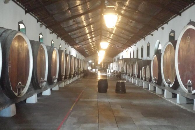 Sintra Full Day Private Wine Experience with Tastings from Lisbon - Colares wine stops: why this appellation is special