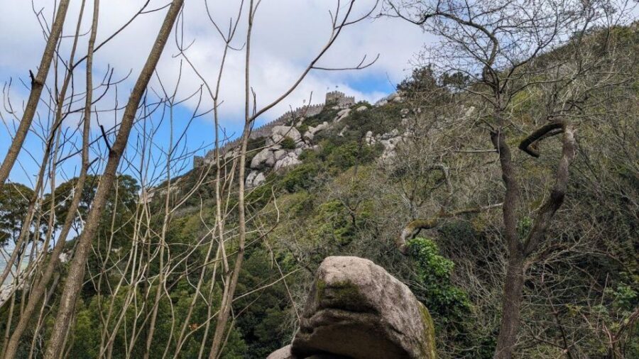 Sintra Hike: Past palaces and hidden paths. - The viewpoint climb: what the first 3 km means for your day