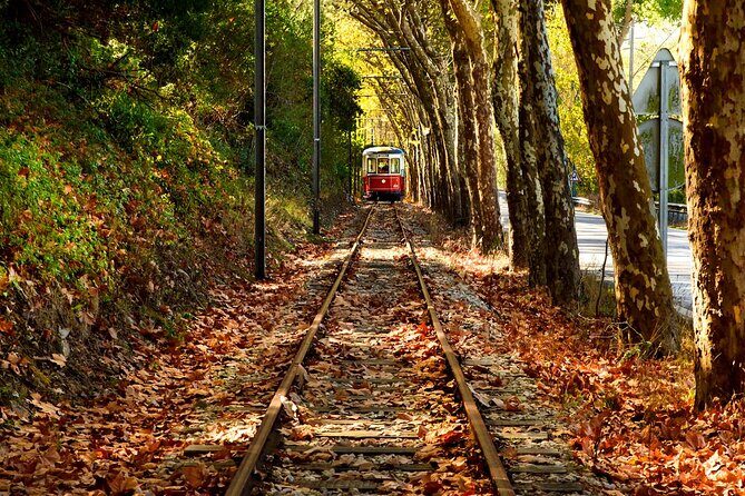 Sintra Jeep Adventure – Wine, Food & Freedom - Santuario da Peninha: the view stop that sets the tone