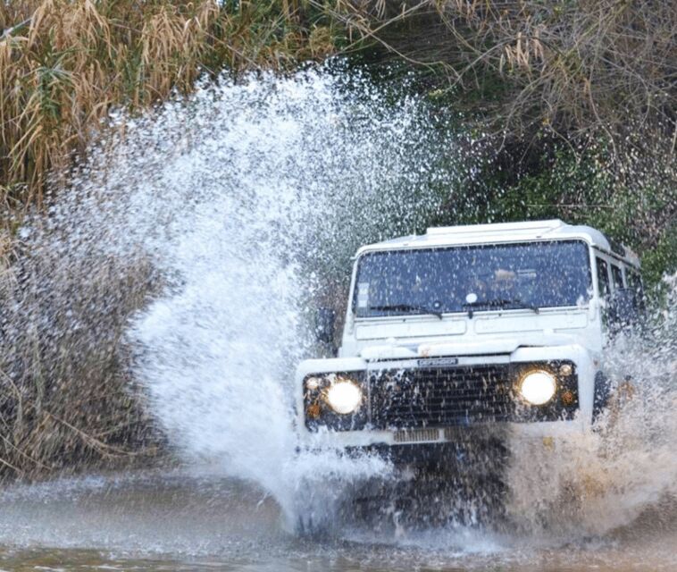 Sintra Jeep Safari • Full Day - Sintra Forest and Peninha Sanctuary: calm stops with big scenery