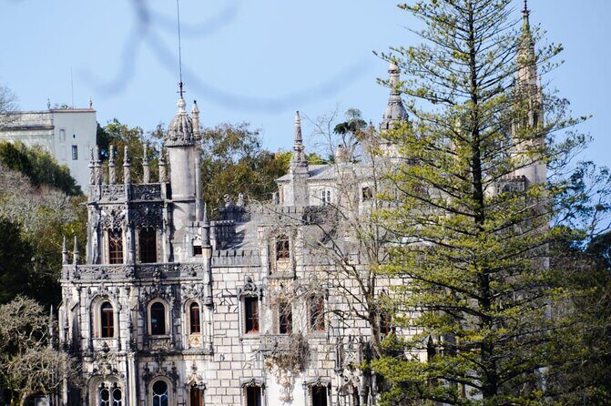 Sintra Palaces and Forest Private Tour - Stop 4: Quinta da Regaleira and the initiatory well symbolism
