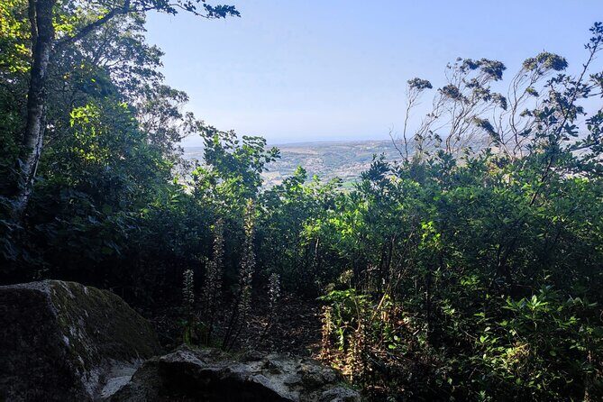 Sintra Private Hiking Adventure Tour - Guides Matter: Antonio, Samuel, and Diogo’s Local Style
