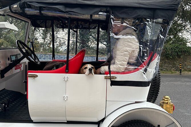 Sintra Tour by Electric Tuk Tuk - Two-hour palace add-ons: Regaleira, Seteais, and Monserrate choices