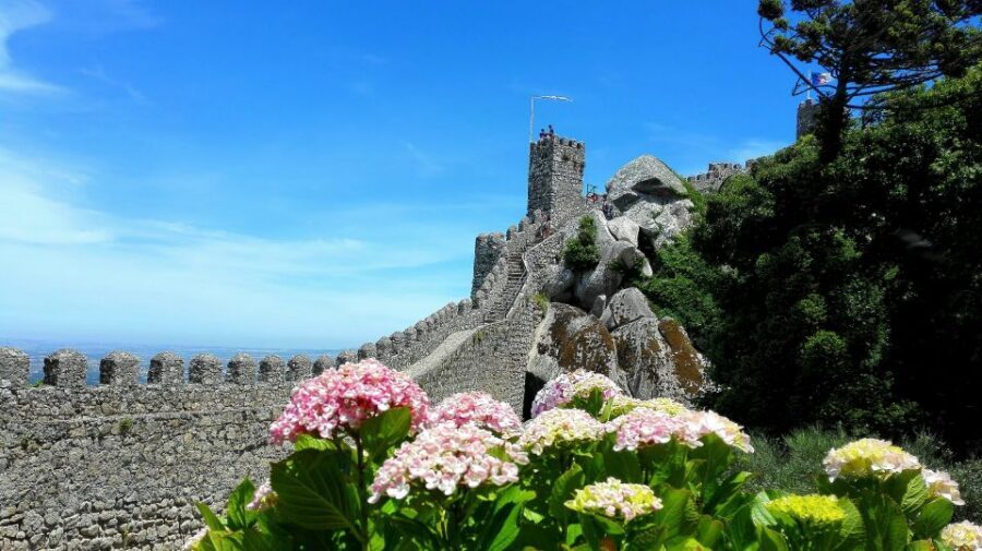 Sintra: Truly Private Tour to Pena Palace & Regaleira - Who This Sintra Private Tour Is Best For
