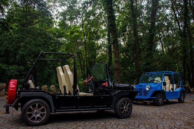 Sintra Tuk Tuk (Electric) 4-5 hours tour - Stop 4: Park and National Palace of Pena with 2 hours of freedom