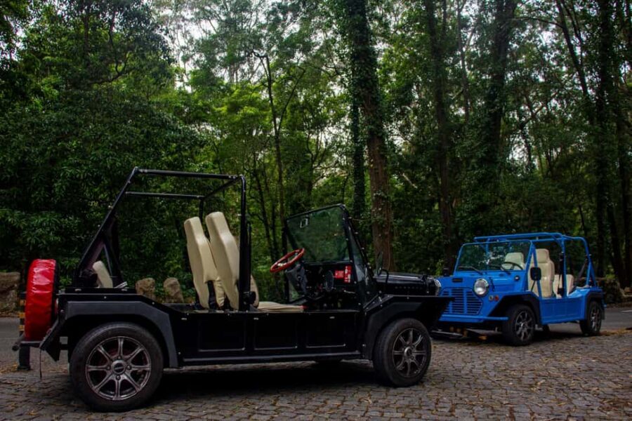 Sintra: Vintage electric Tuk Tuk tour, Pena Palace 4/5 hours - Sintra quick photo stops: getting the lay of the land