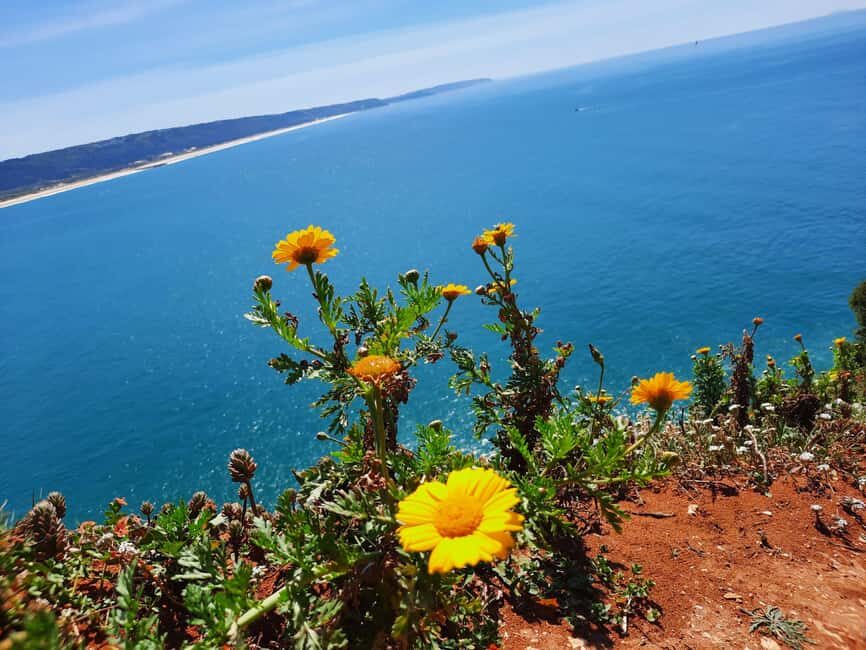 Small Group Excursion to Nazaré, Alcobaça and Obidos from Lisbon - Quick etiquette and what to bring
