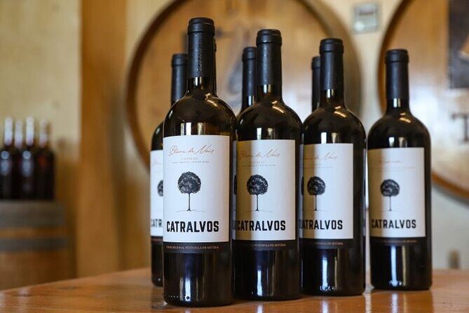 Small Group Full-Day Arrábida Wine Tour and Food Tasting - Key highlights worth your time