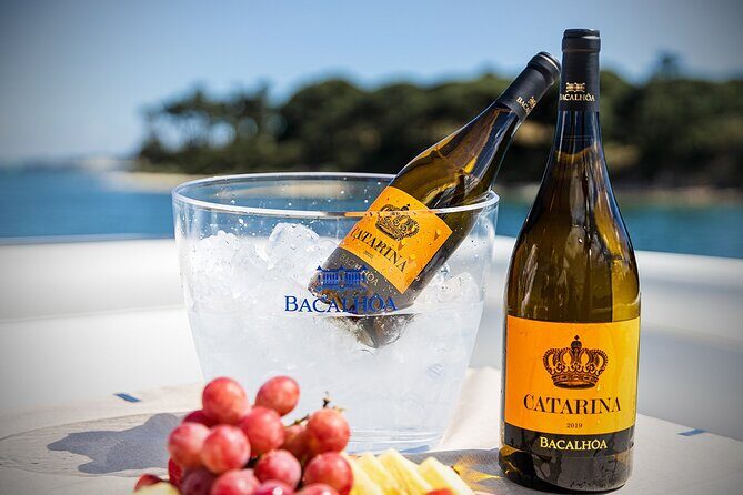 Small Group Full-Day Arrábida Wine Tour and Food Tasting - Arrábida Natural Park viewpoints: short stops, big sea energy