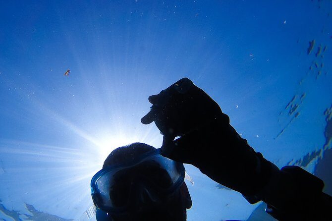 Snorkeling - Marine Park Discovery - Key things to know before you go