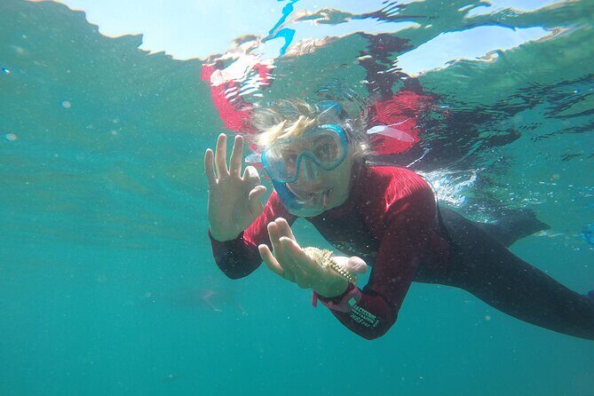 Snorkeling - Marine Park Discovery - What you wear and pack: gear is included, but you still need basics