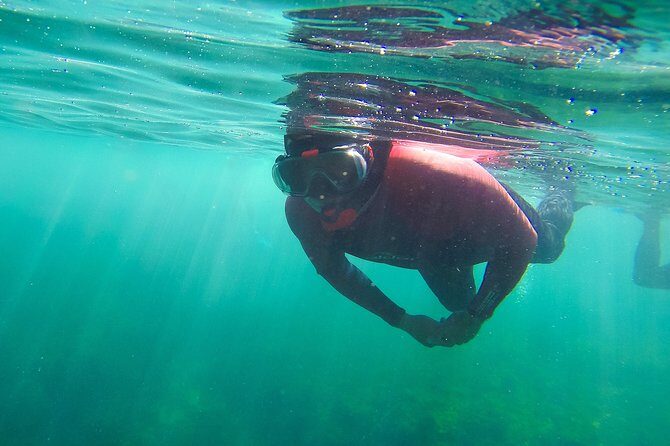Snorkeling - Marine Park Discovery - The guides: small team energy and real fish talk