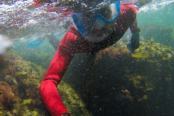 Snorkeling - Marine Park Discovery - Pacing in a 5-hour outing: enough time, not a marathon
