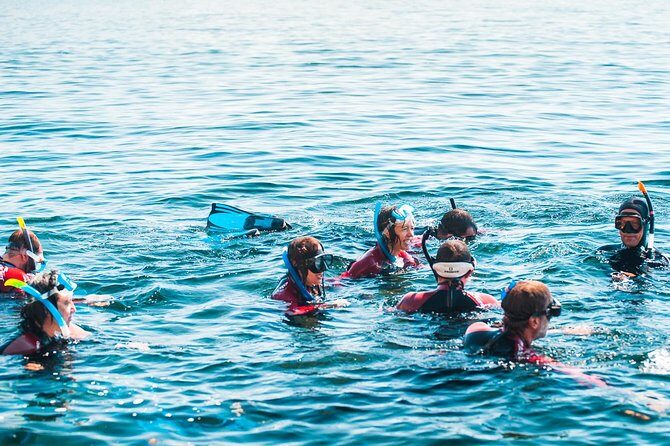 Snorkeling - Marine Park Discovery - Weather and sea conditions: what to expect before you commit