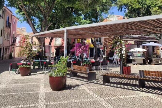 South of Lisbon : Local Market & Canned Sardines Factory Tour - Mercado do Livramento: where local products tell the story