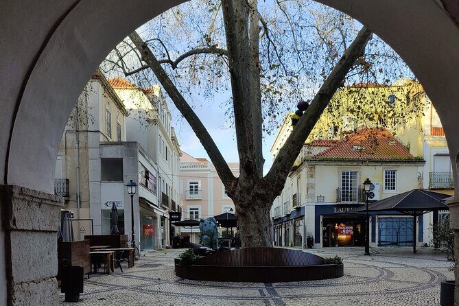 South of Lisbon : Local Market & Canned Sardines Factory Tour - Praça do Bocage and the historic-center thread