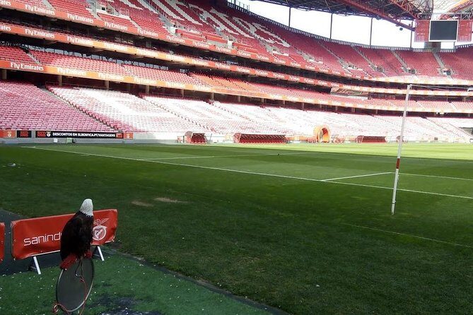Stadium of Benfica Experience and Museum Visiting - Benfica Museum Cosme Damião: What the Club Keeps—and Why
