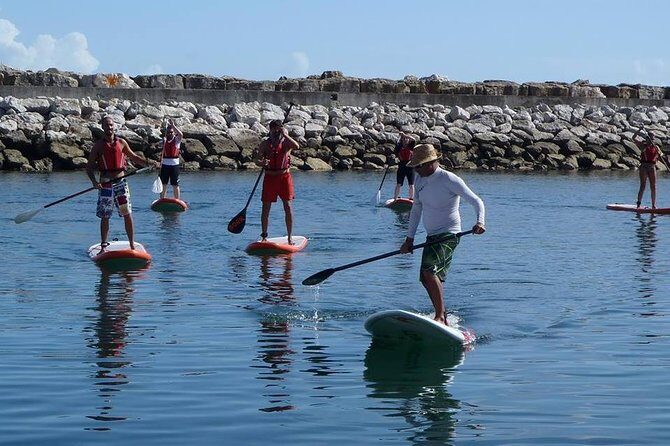 Stand Up Paddle on Lisbon Coast - Key things to know before you go