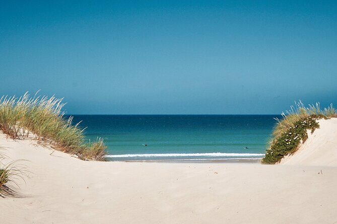 Surf Courses In Peniche and Baleal Portugal - Key things that make this surf lesson worth your time