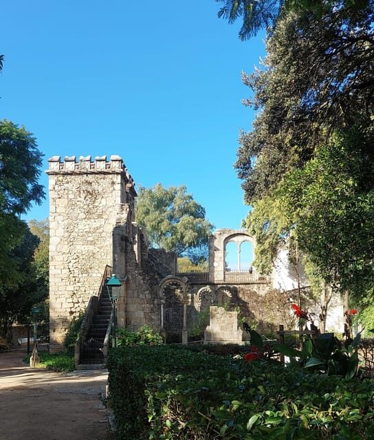 The Roman Tour & Wine tasting. - The aqueduct aftermath: why water history matters for wine