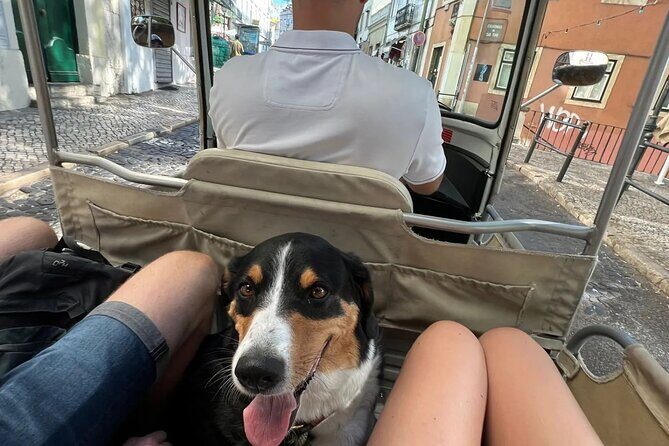 Tuk-Tuk Lisbon Tour 1 - 3hours - From colorful street energy to where you actually eat