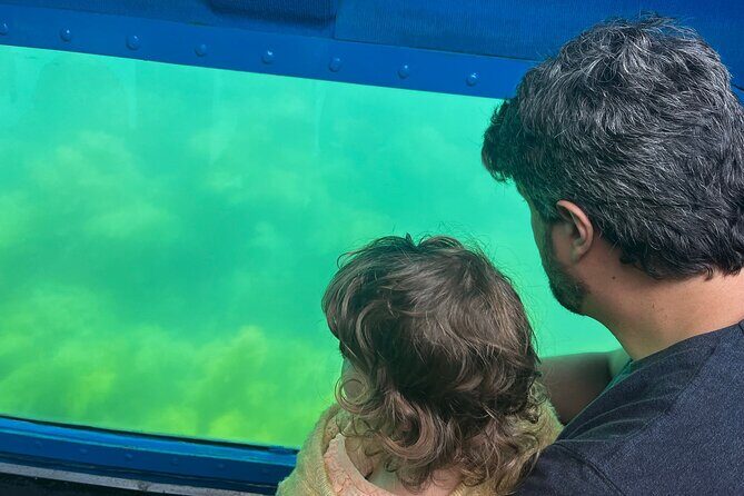 Underwater viewing tours along the coast of Sesimbra - Stop 1 at Praia do Ribeiro do Cavalo: the underwater viewing moment