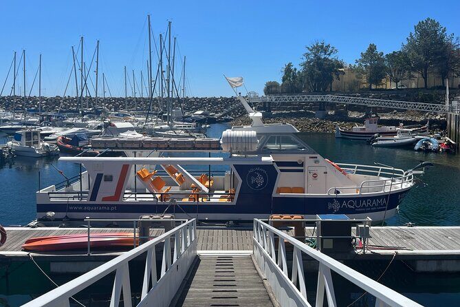Underwater viewing tours along the coast of Sesimbra - Photos and life jackets: the small inclusions that help a lot